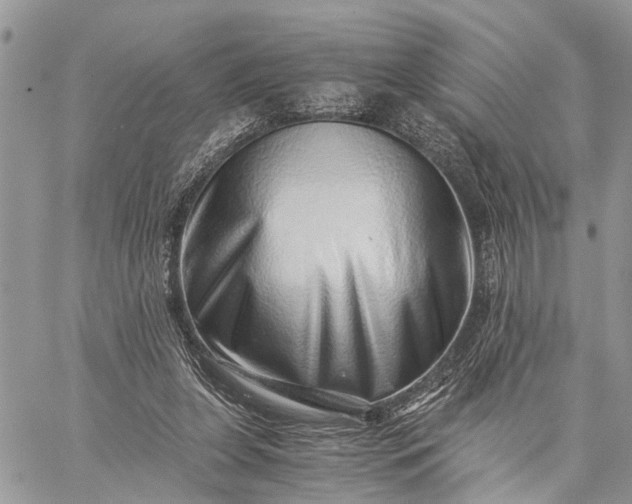 X0000059090255200510211614