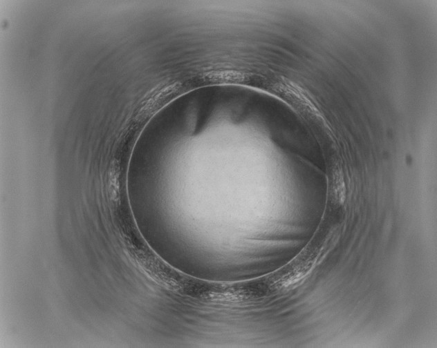 X0000059090259200510211614