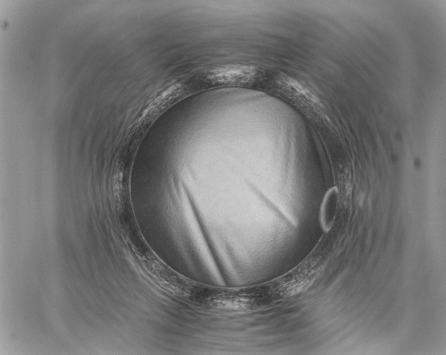X0000059090263200510211614