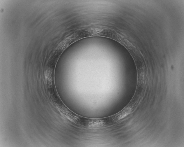X0000059090274200510211615
