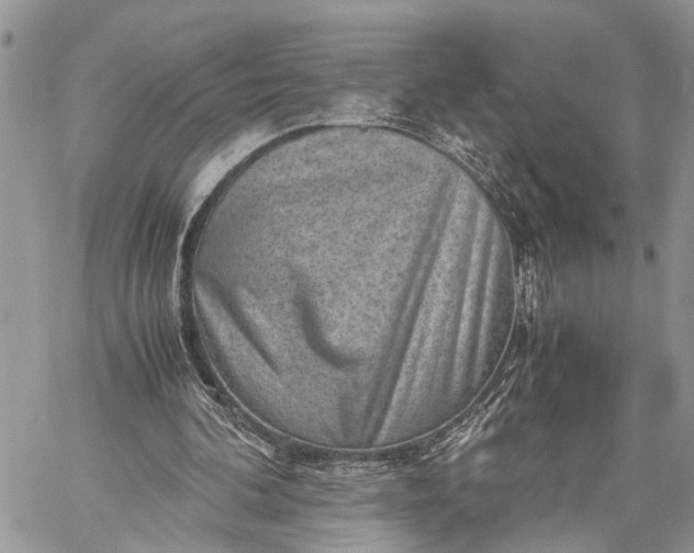 X0000059090292200510211614
