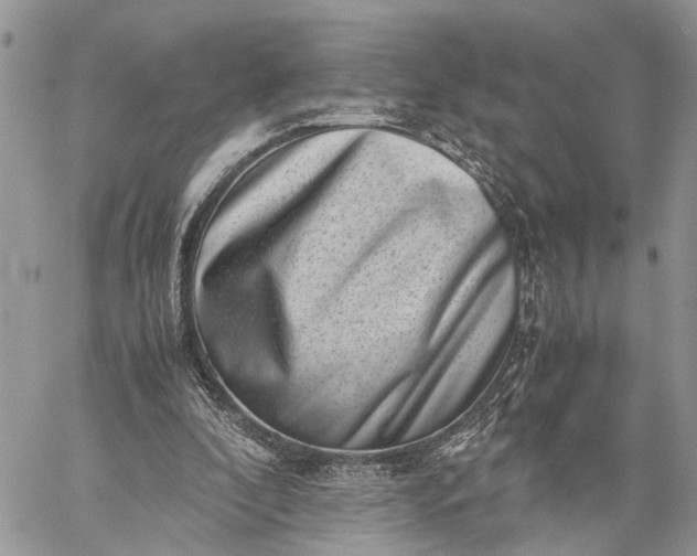 X0000059090296200510211614