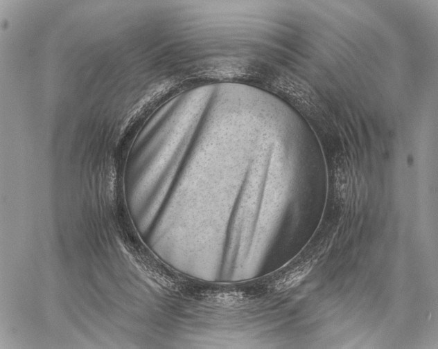 X0000059090304200510211614
