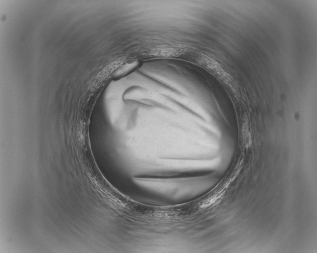 X0000059090305200510211614