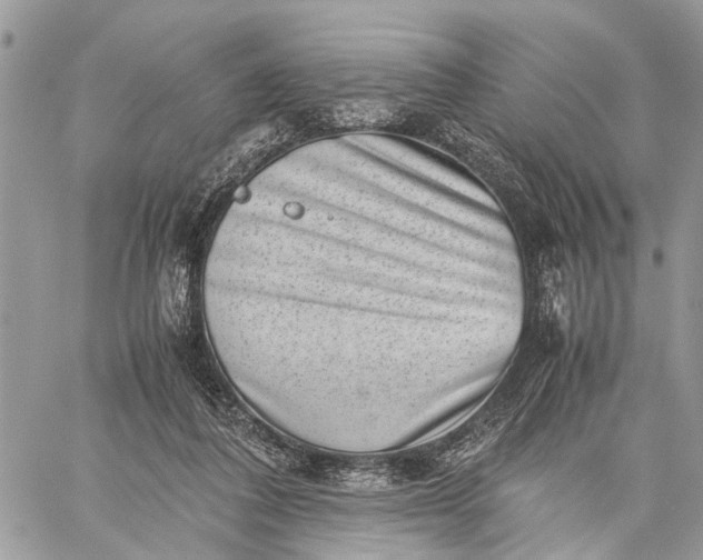 X0000059090308200510211614