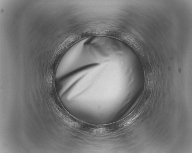 X0000059090309200510211614