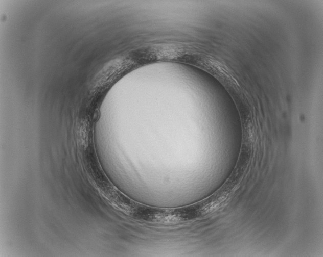 X0000059090311200510211614