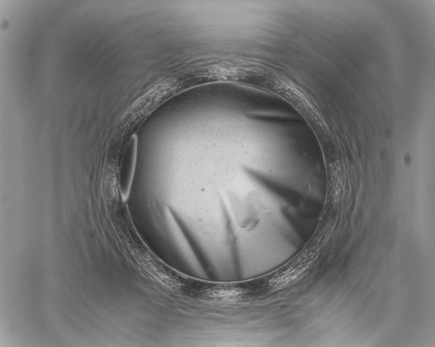 X0000059090313200510211614