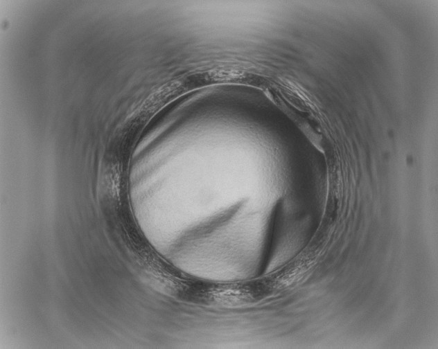 X0000059090315200510211614