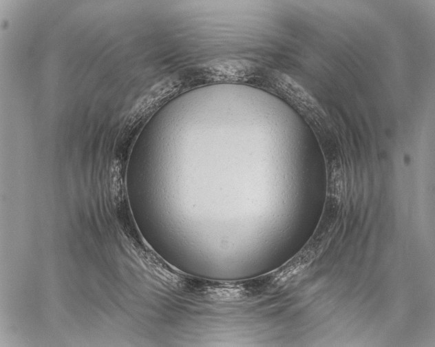 X0000059090318200510211614
