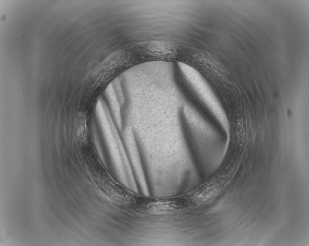 X0000059090320200510211614