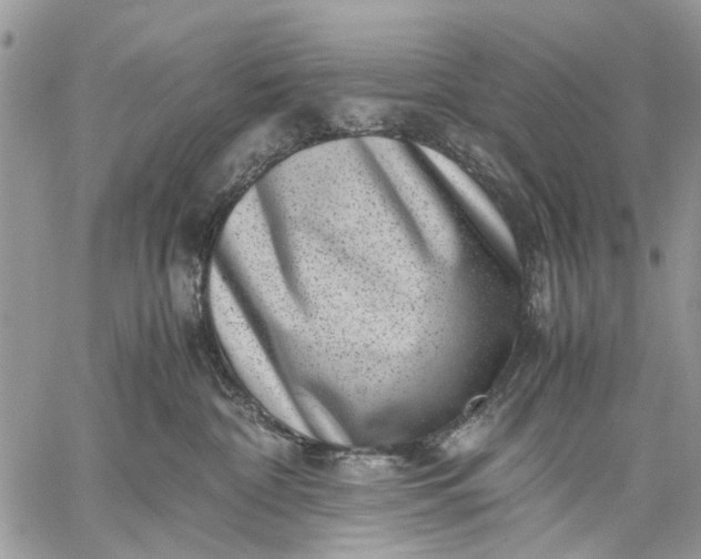X0000059090332200510211613