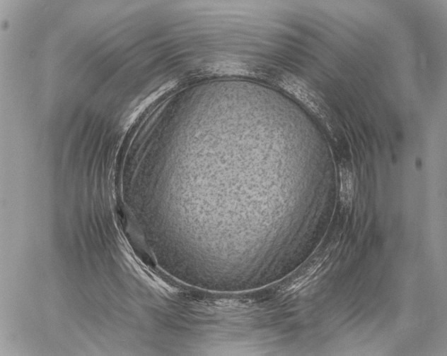 X0000059090390200510211612