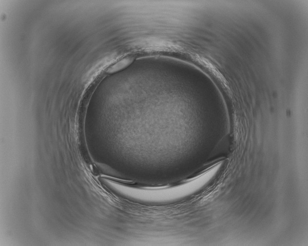 X0000059090391200510211612
