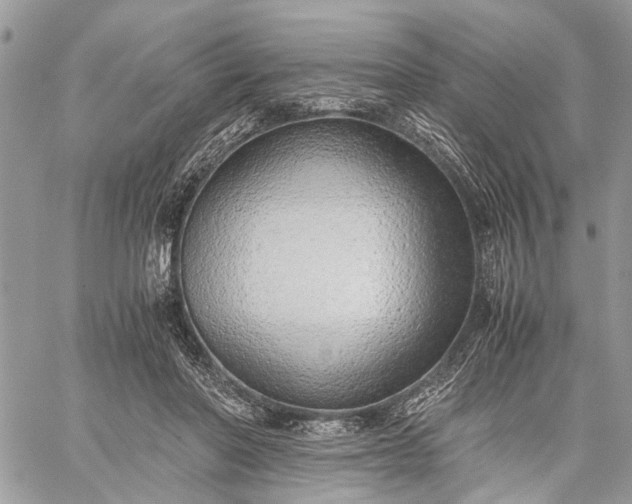 X0000059090406200510211612