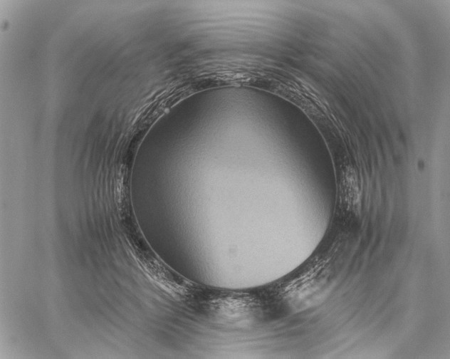 X0000059090412200510211612