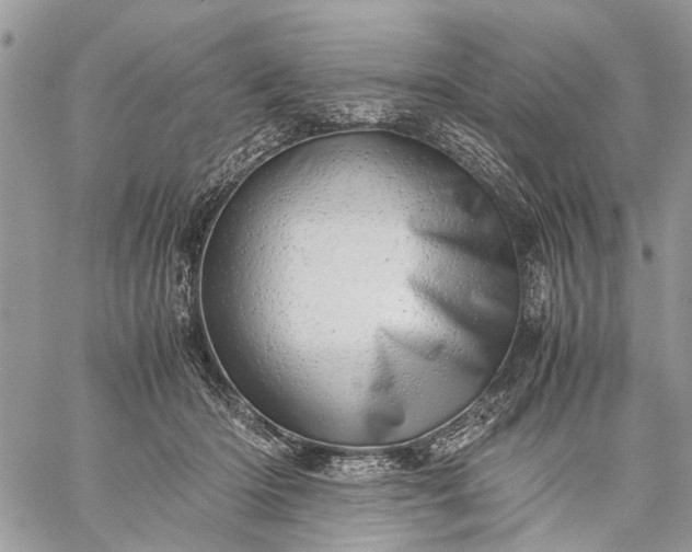 X0000059090414200510211612