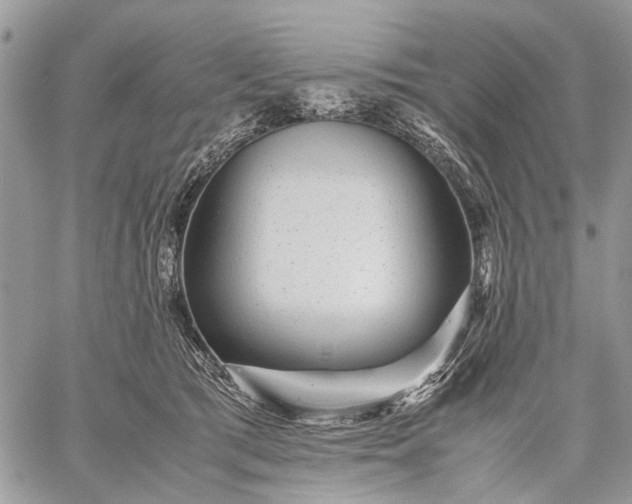 X0000059090417200510211612