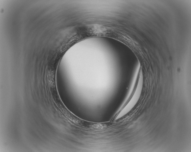 X0000059090421200510211612