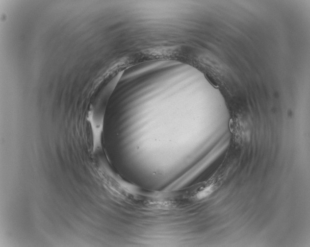 X0000059090428200510211612