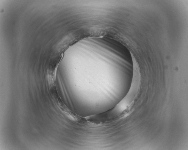 X0000059090432200510211612