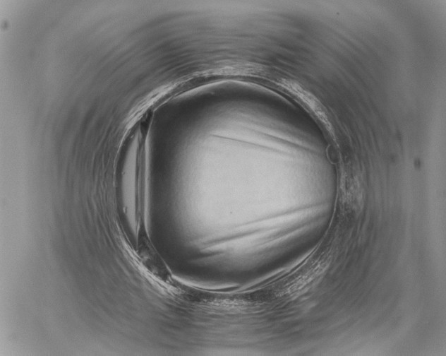 X0000059090437200510211611