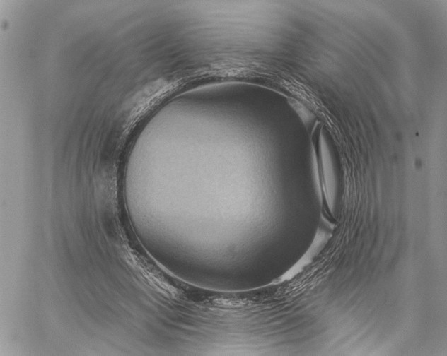 X0000059090442200510211611