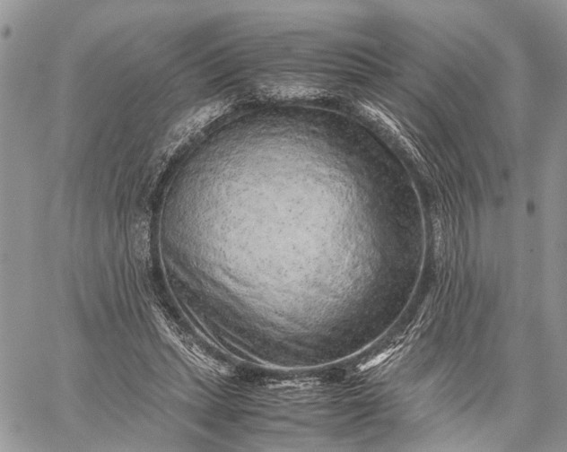 X0000059090447200510211611