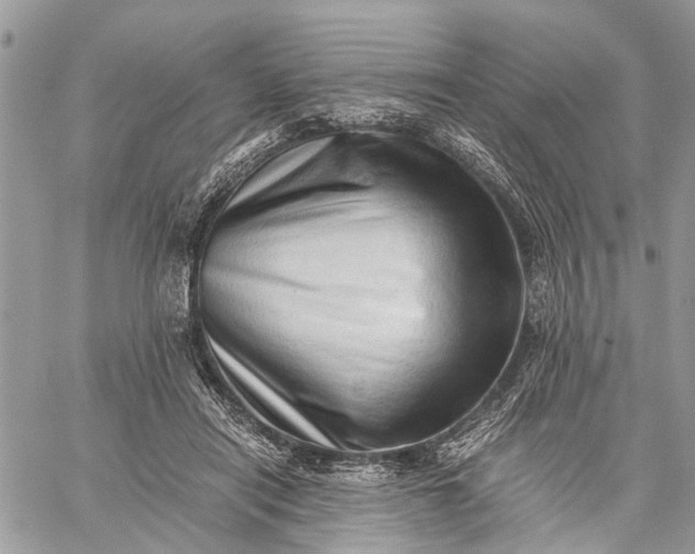 X0000059090454200510211611
