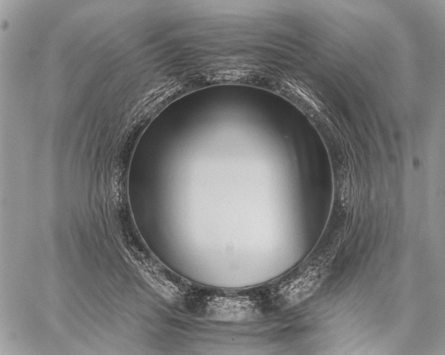 X0000059090455200510211611