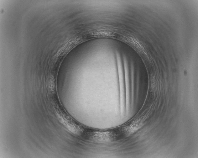 X0000059090457200510211611