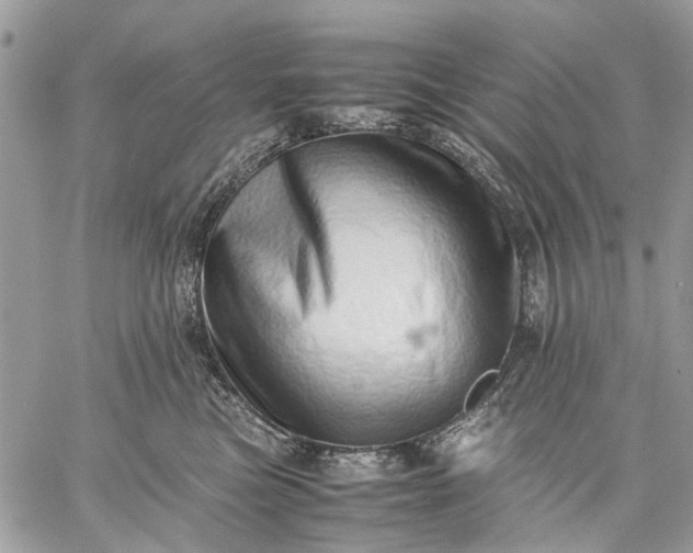 X0000059090473200510211612