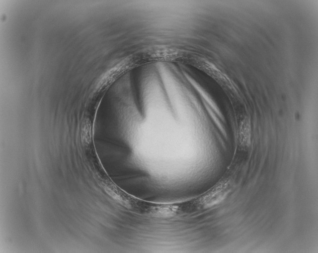 X0000059090474200510211612