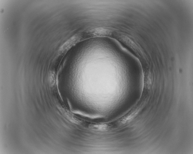 X0000059090478200510211612