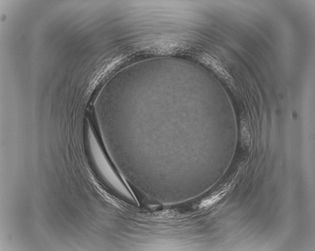 X0000059090493200510211611