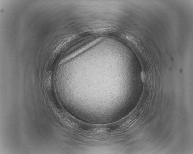 X0000059090495200510211611