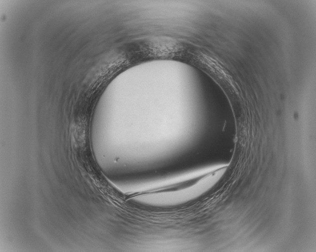 X0000059090505200510211611