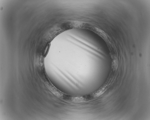 X0000059090525200510211610