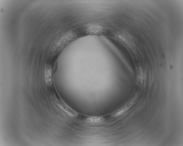 X0000059090526200510211610