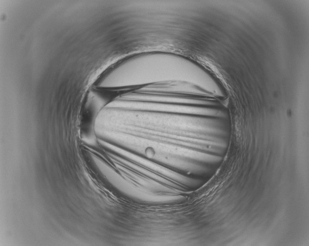 X0000059090532200510211609