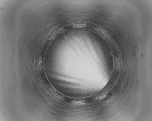 X0000059090557200510211610