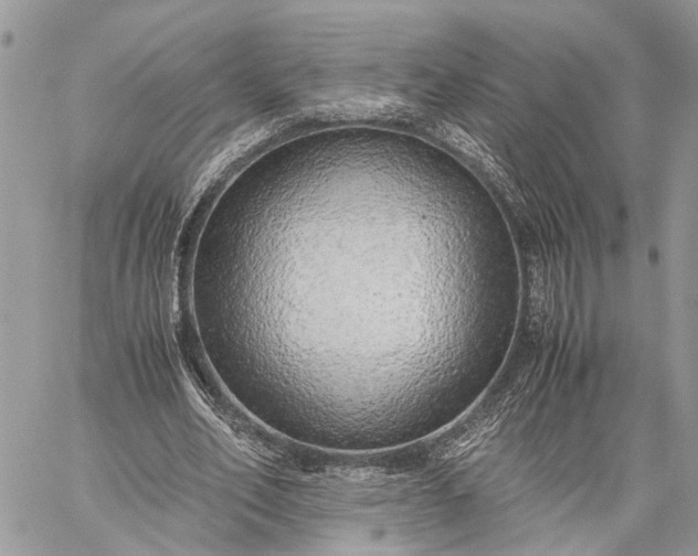 X0000059090582200510211609