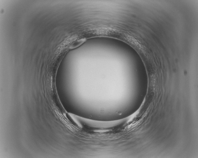 X0000059090589200510211609