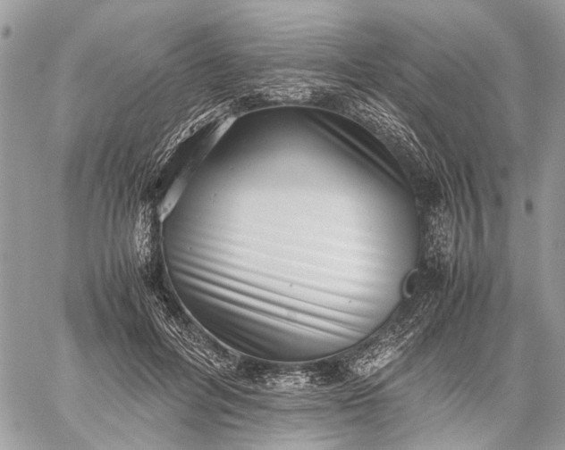 X0000059090600200510211609