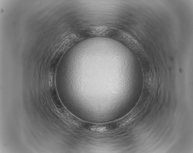 X0000059090602200510211609