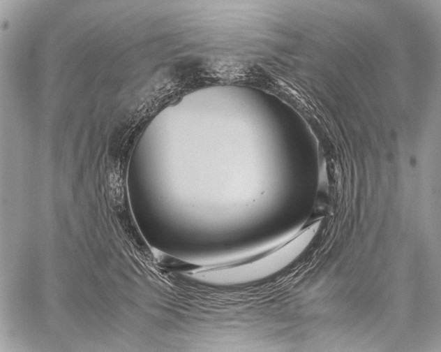 X0000059090609200510211609