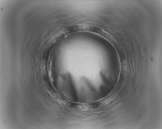 X0000059090615200510211609