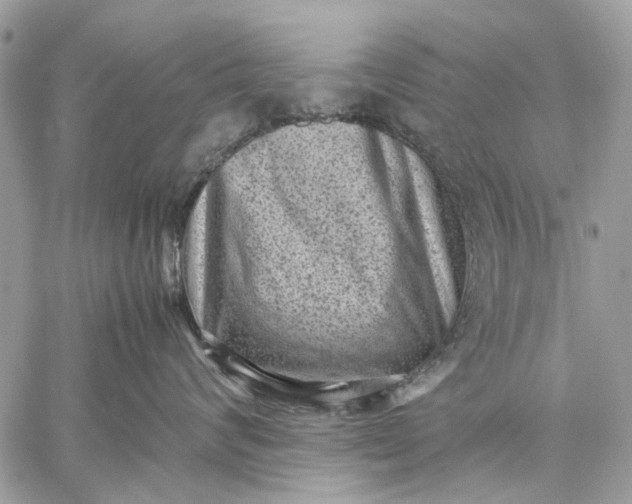X0000059090624200510211608