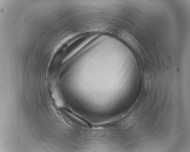 X0000059090628200510211608