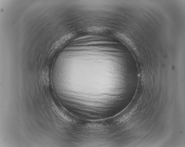 X0000059090633200510211608